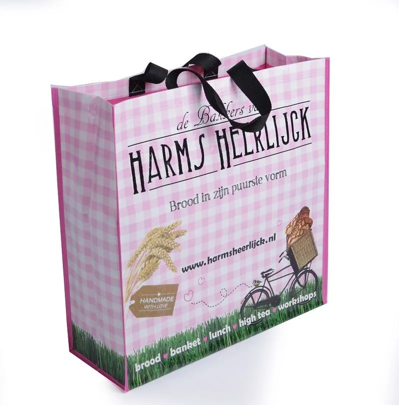 pp woven shopping bag (10)